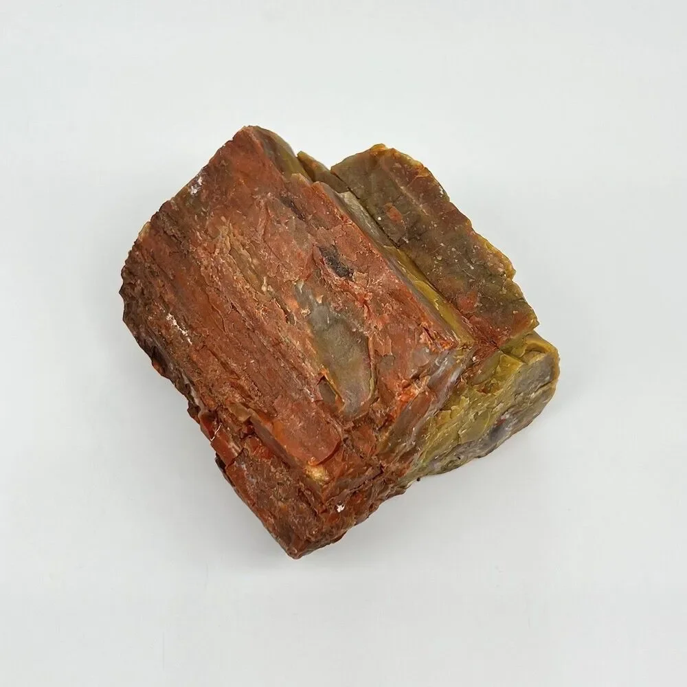 Arizona Rainbow Petrified Wood Specimen Agatized Fossil Rock 1.7lb Red Brown VTG